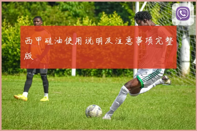 西甲硅油使用说明及注意事项完整版