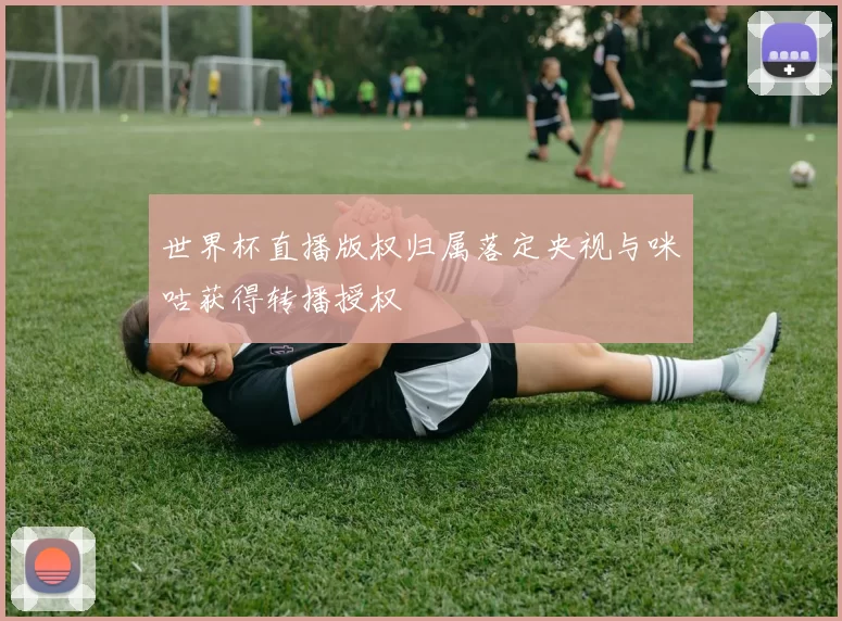 世界杯直播版权归属落定央视与咪咕获得转播授权