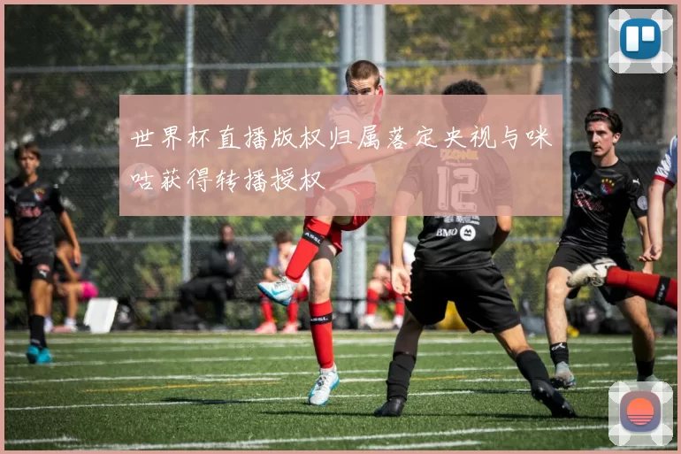世界杯直播版权归属落定央视与咪咕获得转播授权