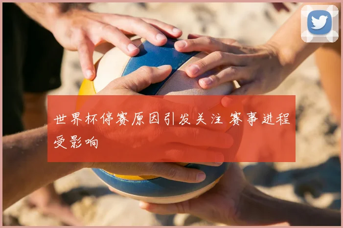 世界杯停赛原因引发关注 赛事进程受影响