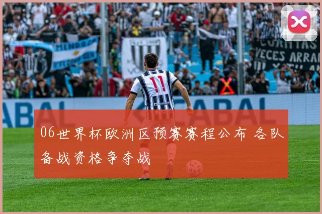 06世界杯欧洲区预赛赛程公布 各队备战资格争夺战