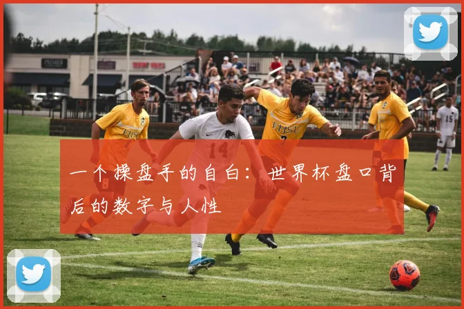 一个操盘手的自白：世界杯盘口背后的数字与人性